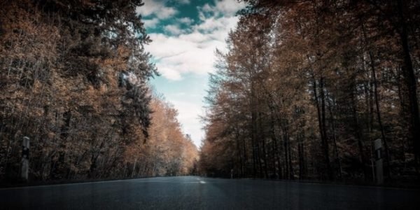 машина авто 147