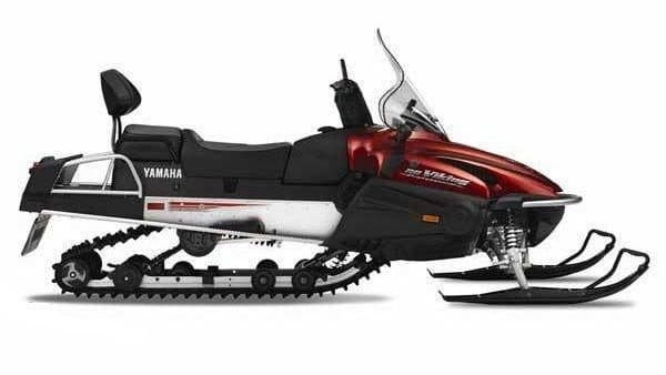 Профессиональный викинг