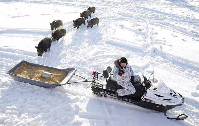 Модель снегоуборочной машины